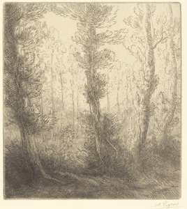 Klein Meer (Le petit lac)