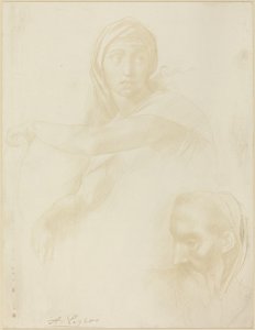 Studie van de Delphische Sibylle, Hoofd van een Man
