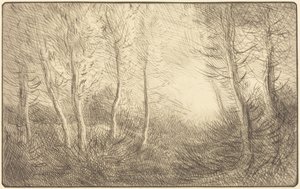 Zonsopgang, bossen van Clamard