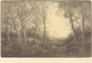 Zonsopgang, Bossen van Clamard
