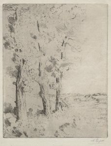 De lezer: De lezing onder de bomen