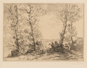 De Zalmvisser Le Pêcheur du Saumon, ca. 1880 door Alphonse Legros