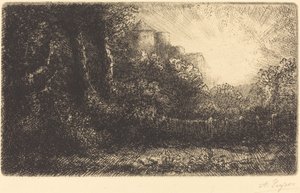 Uitzicht op een kasteel (Chateau de Poillet)