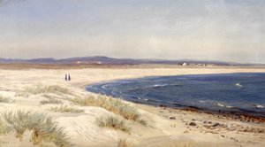 Noors:  Mennesker på en strand Mensen op een strand door Amaldus Nielsen