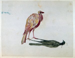 Een vogel