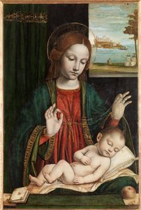 Madonna en slapend kind (Madonna van de sluier) door Ambrogio da Fossano (c.1460 1523)