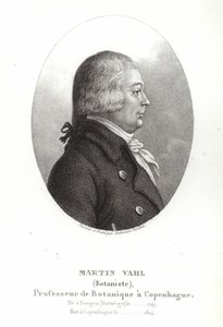 Martin Vahl door Ambroise Tardieu