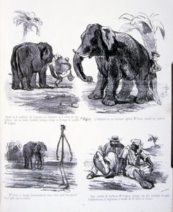Illustratie voor De kunst van het vetmesten en afvallen