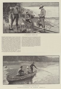 Zalmvissen in Noord-Amerika