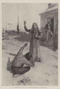 De zeemeermin van Lighthouse Point, door Bret Harte