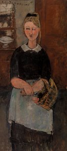 De mooie huisvrouw