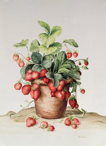 Aardbeien in een pot, 1998