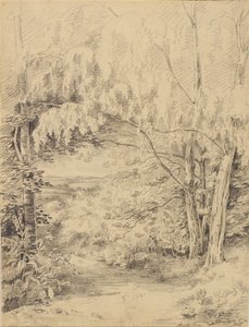 Bromley Hill
