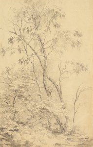 Bomen bij Bromley