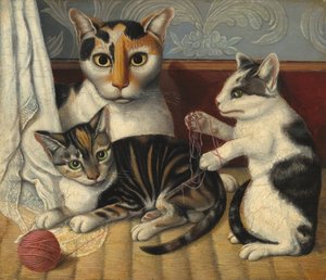 Kat en kittens
