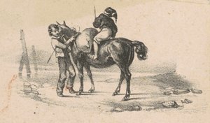 Jongeren en een paard