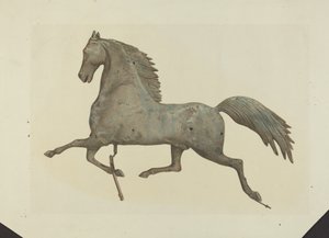 Paard Weervaan door American 20th Century