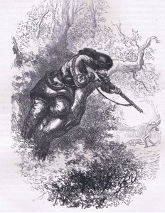 Amerikaanse scherpschutter in een boom, illustratie uit Cassells Geschiedenis van de Verenigde Staten uitgegeven door Cassell, Petter & Galpin, c.1900 door American English school