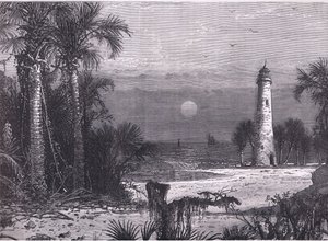 Uitzicht op de kust van Florida, illustratie uit Cassells Geschiedenis van de Verenigde Staten gepubliceerd door Cassell, Petter & Galpin, ca. 1900 (litho)
