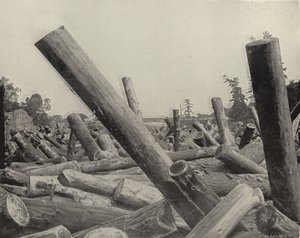 Een houtblokkade in St Croix River, Wisconsin