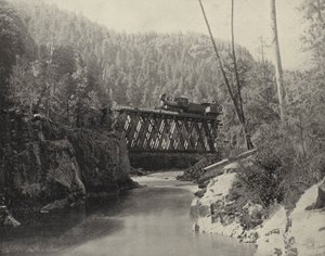 Brug in Animas Canyon, Colorado (zwart-wit foto) door American Photographer (after)