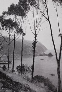 Californië: Baai van Avalon, Santa Catalina Island, magisch speelparadijs aan de Stille Oceaan 30 mijl van het vasteland van Zuid-Californië door American Photographer (after)