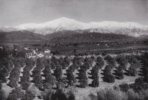 Californië: Redlands, vanaf Smiley Heights, zonneschijn, sinaasappelboomgaarden en besneeuwde toppen