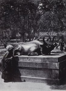 Vrome vrouw die een bronzen stier aait (zw/w foto) door American Photographer (after)