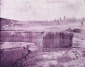 Little Jupiter Terrace