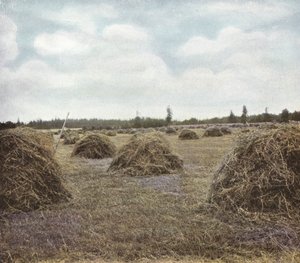Oregon: Alfalfa door American Photographer (after)