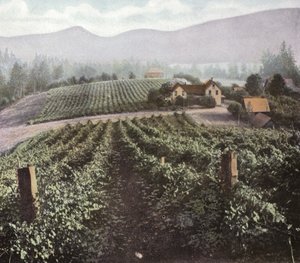 Oregon: Diversificatie Landbouw in Willamette Valley door American Photographer (after)