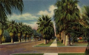 Phoenix, Arizona: North Central Avenue (foto) door American Photographer (after)