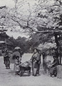 Onder de kersenbloesem in Shiba Park, Tokio door American Photographer (after)