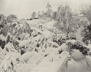 Winterloof op Luna Island (zwart-wit foto) door American Photographer (after)