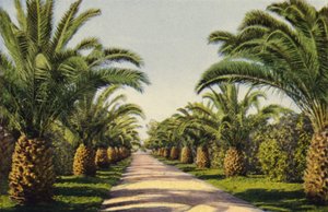 Een oprit in Riverside (kleurenfoto)