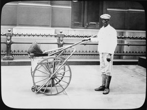 Stadsstraatreiniger, Philadelphia, c.1920