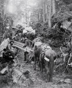 Beklimming van de Dyea Trail op Weg naar de Chilkoot Pass tijdens de Klondike Gold Rush (1897-98)