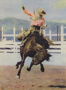 Cowboy temt een paard door American Photographer