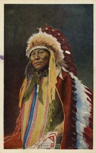 Holle Hoorn Beer, Sioux Indianenhoofd (foto) door American Photographer