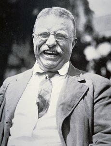 President Theodore Roosevelt, ca. 1917 door American Photographer