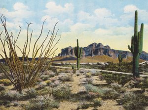 Superstition Mountain en woestijn, "Apache Trail" (kleurenfoto) door American Photographer