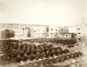 Leerlooierij in Hebron met huiden op de voorgrond, 1898-1911