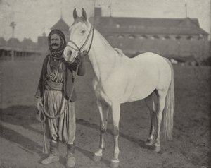 Het Prijs Paard van de Bedoeïenen door American Photographer