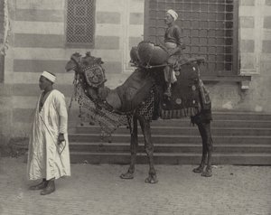De Egyptische Tom-Tom