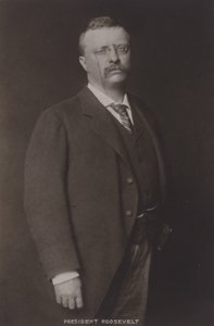 Theodore Roosevelt, 26e President van de Verenigde Staten, 1904