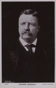 Theodore Roosevelt, Amerikaans politicus en 26e president van de Verenigde Staten (z/w foto) door American Photographer