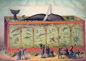19e-eeuws circus aquarium door American School