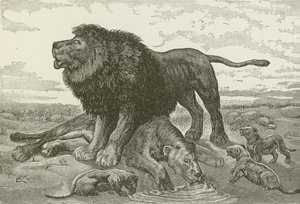 Een Treurzang in de Afrikaanse Woestijn, naar een schilderij van J N Nettleship door American School