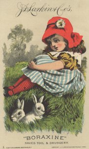 Advertentie voor J. D. Larkin & Cos Boraxine, 1882 door American School