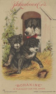 Advertentie voor J. D. Larkin & Cos Boraxine, 1882 door American School